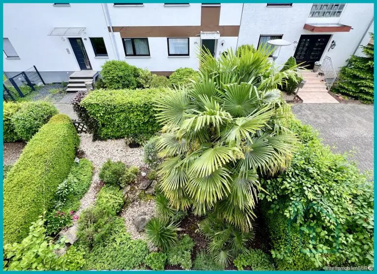 Blick in den Garten