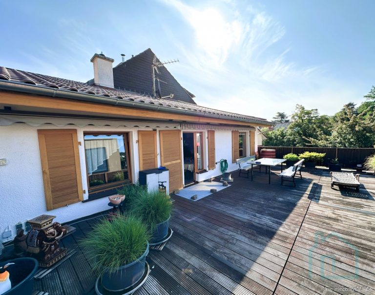 Dachterrasse Hinterhaus OG