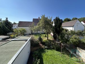Blick in den Garten