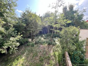 Blick in den Garten vom Erdgeschoss