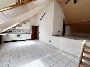 Dachstudio