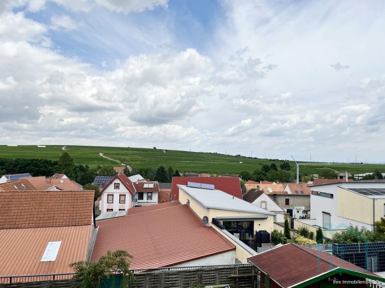 Blick über die Dächer