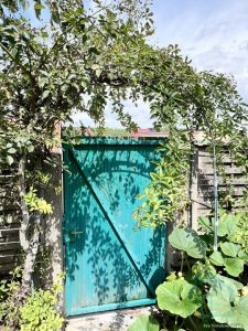 Hier geht's raus ...