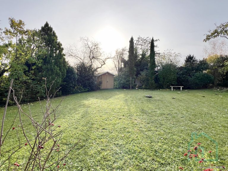 Abendsonne im Herbst