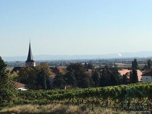 Blick auf Laumersheim