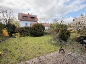 Blick in den Garten