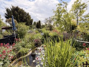 Garten
