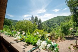 Blick in die Natur