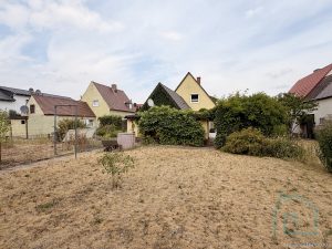 Garten im Hochsommer