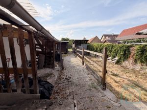 hier geht's Richtung Garten