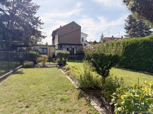 und noch mehr Garten